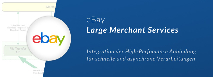 eBay Large Merchant Services